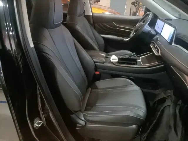 Venucia Venucia Big V 2022 260T Dark Horse Edition·Idol — Фото автомобиля 24