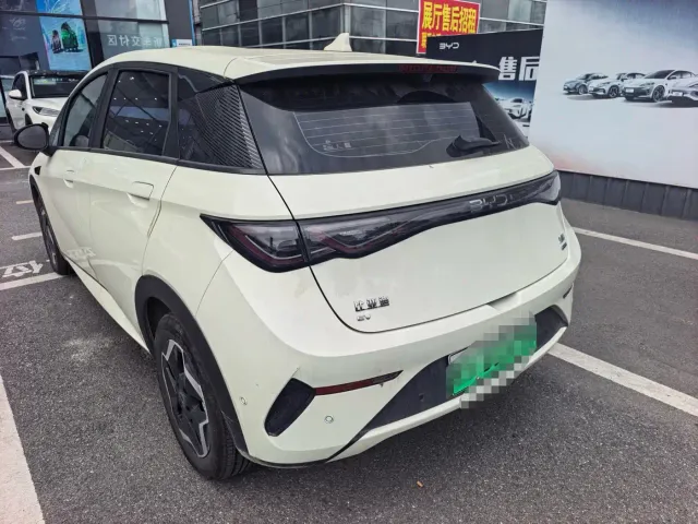 BYD Dolphin — Фото автомобиля 4