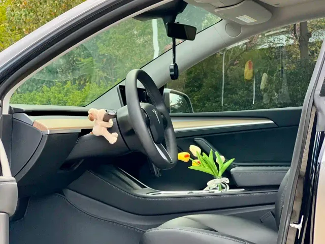 Tesla Model Y — Фото автомобиля 10
