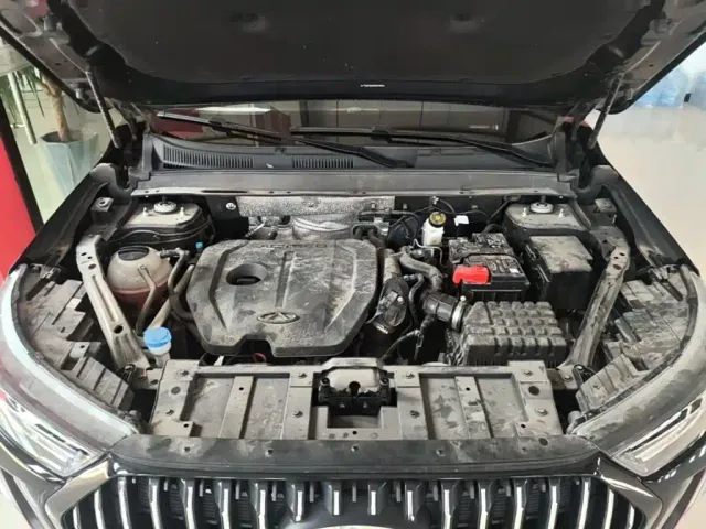 Chery Tiggo 7 PLUS — Фото автомобиля 19