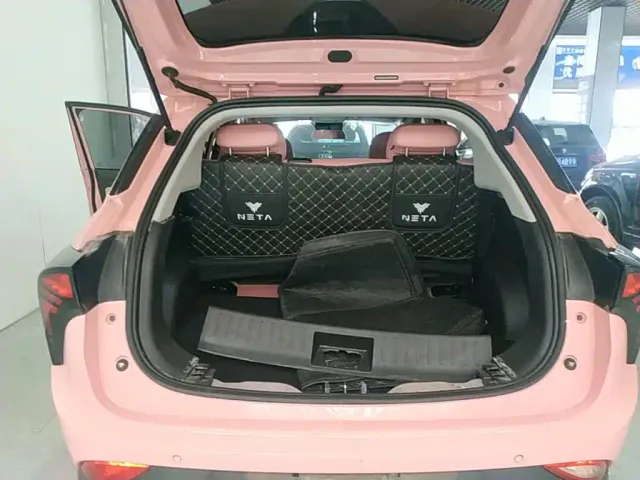 Nezha Auto Nezha V 2022 Trend 400 Lite Pink Custom Edition — Фото автомобиля 14