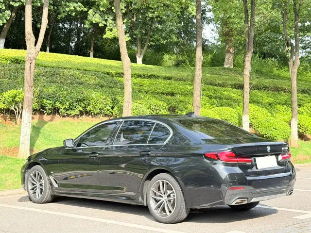 BMW 5 Series — Фото автомобиля 8