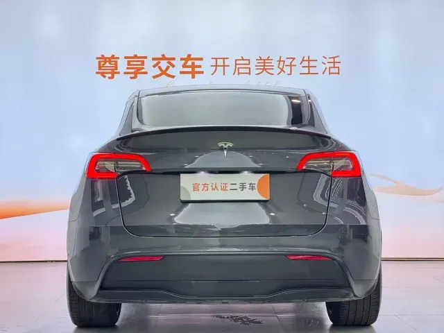 Tesla Model Y — Фото автомобиля 8