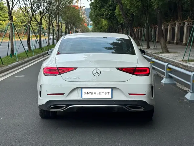 Mercedes-Benz CLS-Class — Фото автомобиля 3