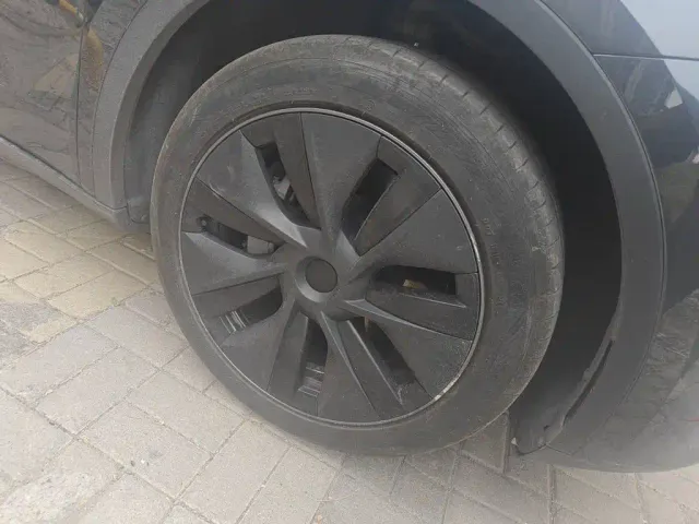 Tesla Model Y — Фото автомобиля 24