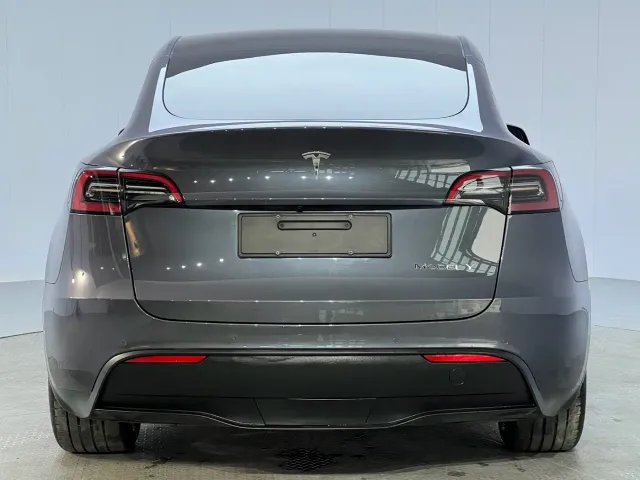Tesla Model Y — Фото автомобиля 22