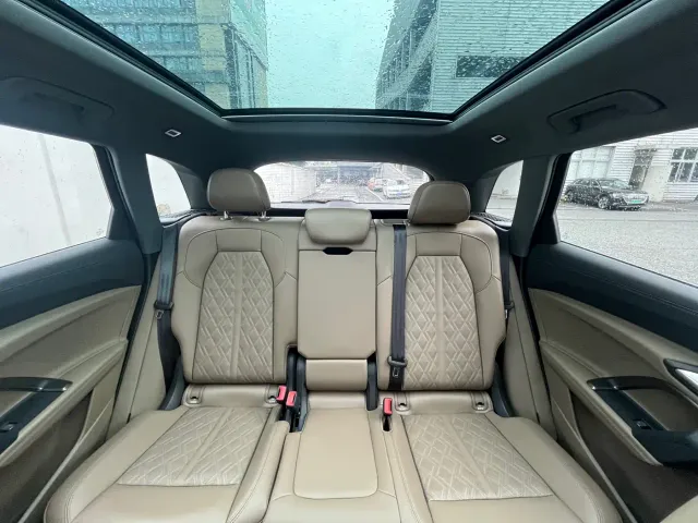 Audi Q5L — Фото автомобиля 13