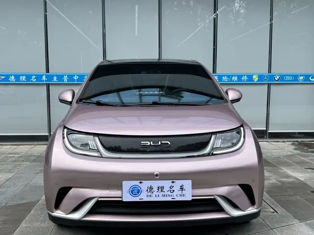 BYD Dolphin — Фото автомобиля 4