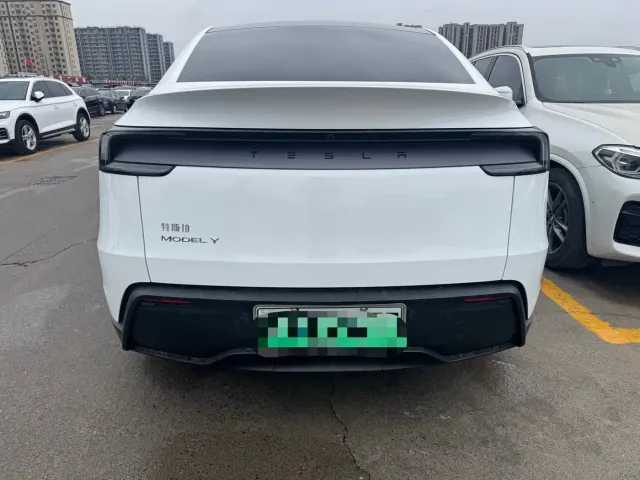 Tesla Model Y 2025 Facelift Long Range All-Wheel Drive — Фото автомобиля 8