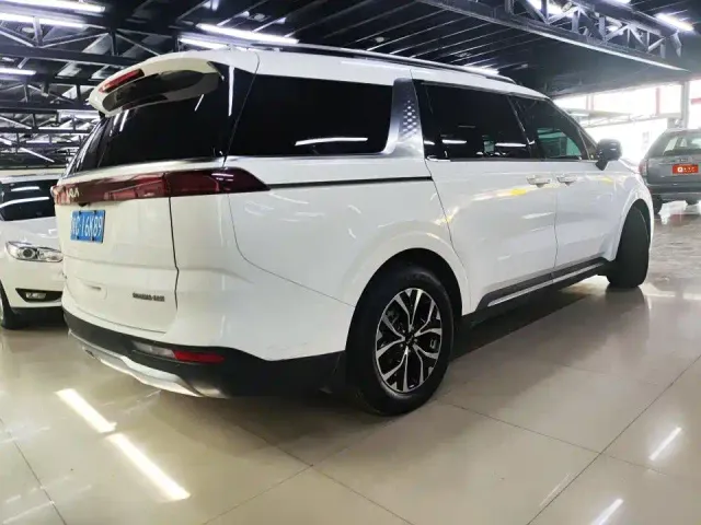 Kia Carnival — Фото автомобиля 8