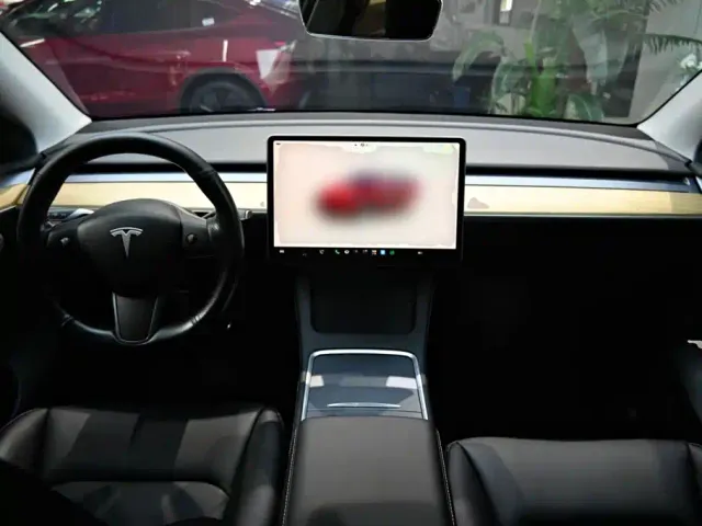 Tesla Model Y — Фото автомобиля 9