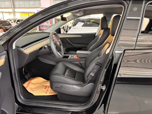 Tesla Model Y — Фото автомобиля 11