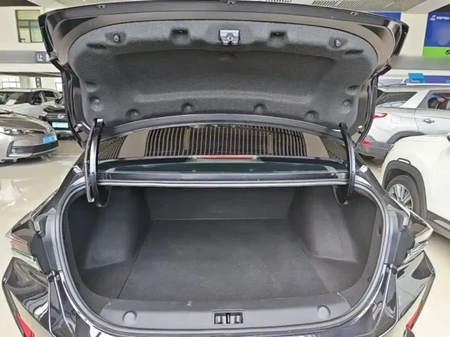 Dongfeng Yixuan MAX — Фото автомобиля 14