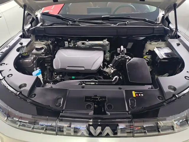 Haval Xiaolong MAX — Фото автомобиля 19