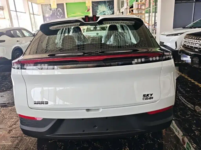 Dongfeng SKY EV01 — Фото автомобиля 3