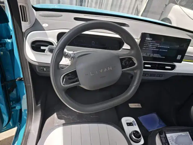 Livan Ruilan Blue Elf — Фото автомобиля 10
