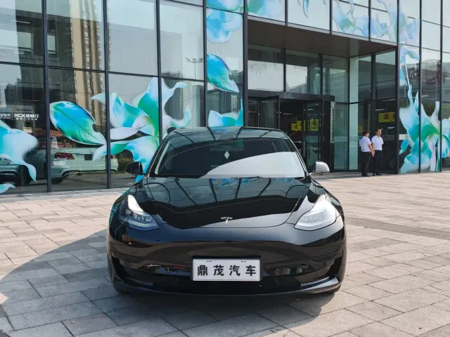 Tesla Model 3 — Фото автомобиля 2