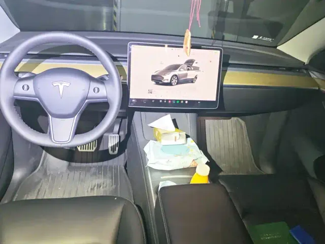 Tesla Model Y — Фото автомобиля 12
