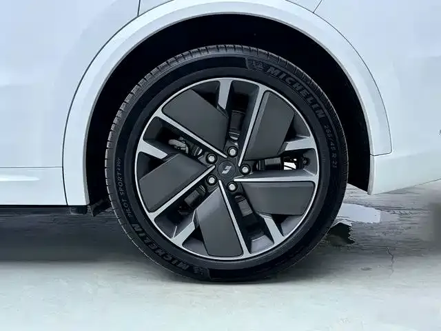 Li Auto L9 — Фото автомобиля 11