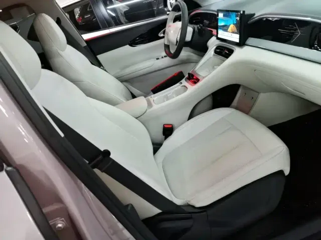 Geely Starry Wish — Фото автомобиля 24