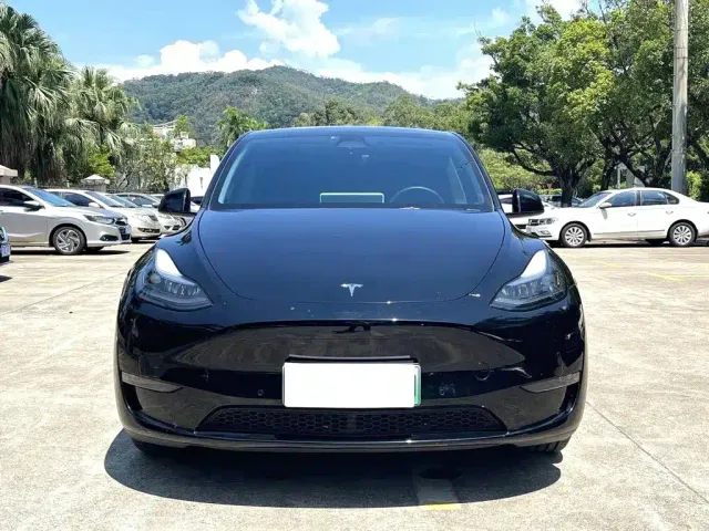 Tesla Model Y — Фото автомобиля 2