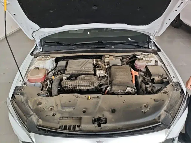 BYD Qin PLUS — Фото автомобиля 19