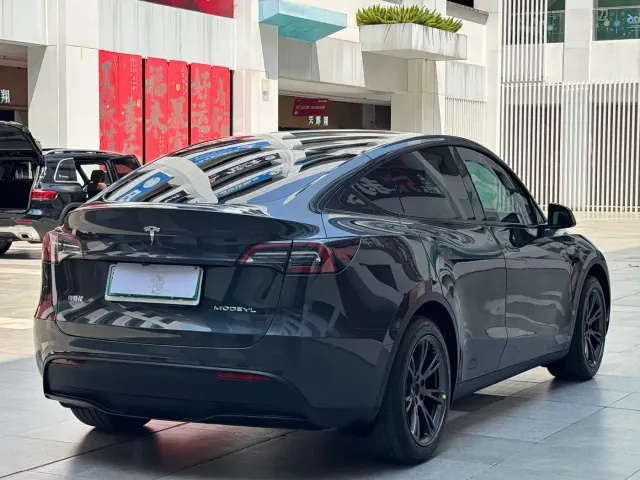 Tesla Model Y — Фото автомобиля 12