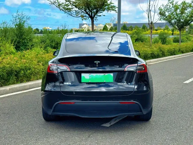 Tesla Model Y — Фото автомобиля 8