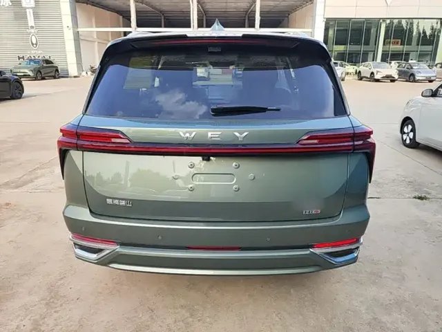 Wey Lanshan — Фото автомобиля 5