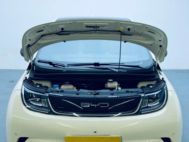 BYD Dolphin — Фото автомобиля 10