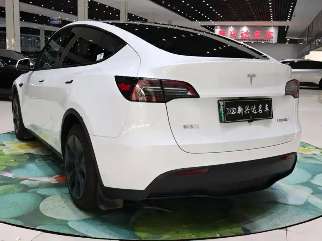 Tesla Model Y — Фото автомобиля 4