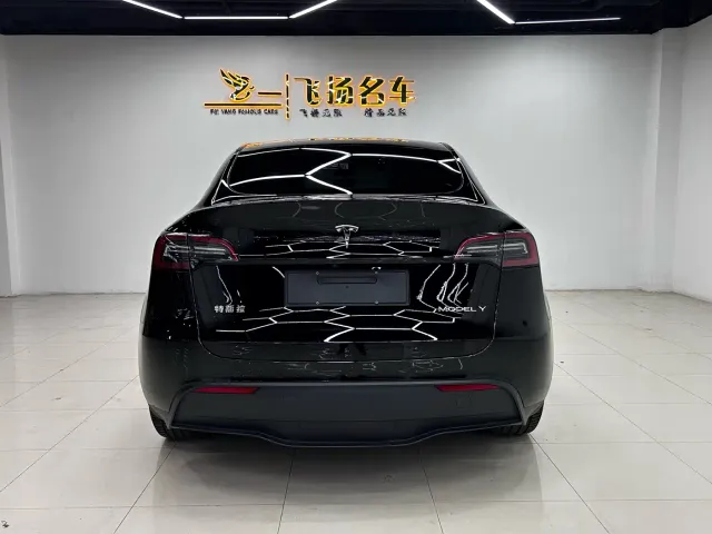 Tesla Model Y — Фото автомобиля 10