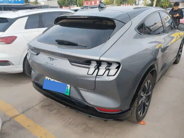Ford Mustang Mach-E — Фото автомобиля 7
