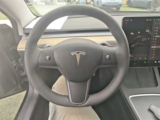 Tesla Model 3 — Фото автомобиля 6