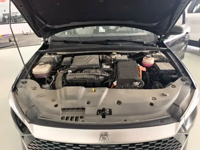 BYD Qin PLUS — Фото автомобиля 19