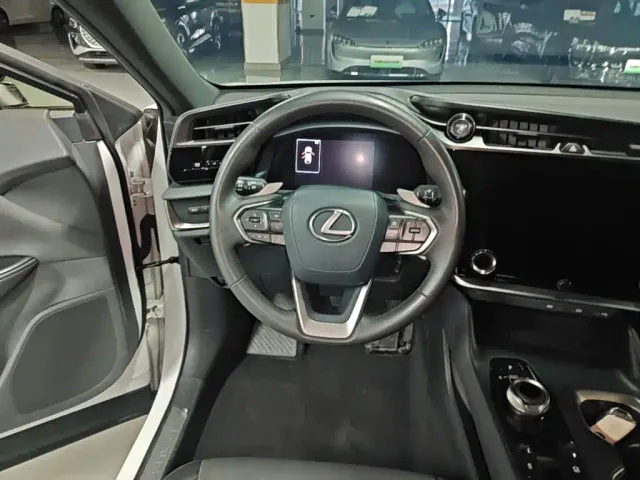 Lexus RZ — Фото автомобиля 10
