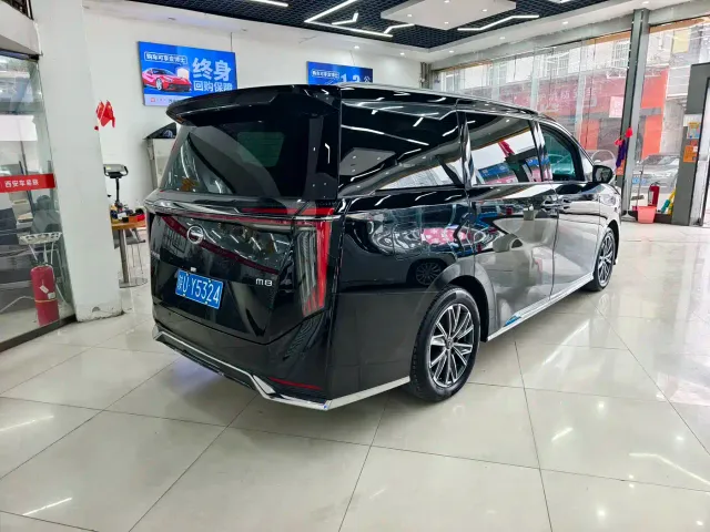 GAC Trumpchi M8 — Фото автомобиля 16