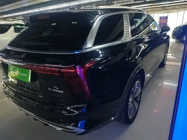 Hongqi E-HS9 — Фото автомобиля 6