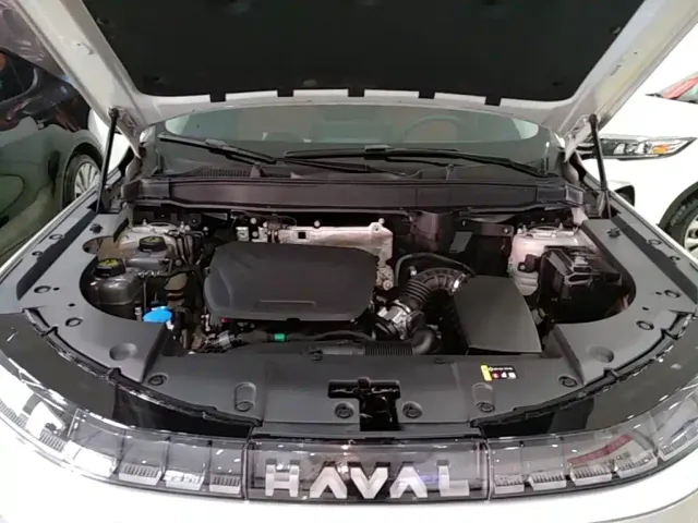 Haval Xiaolong MAX — Фото автомобиля 19