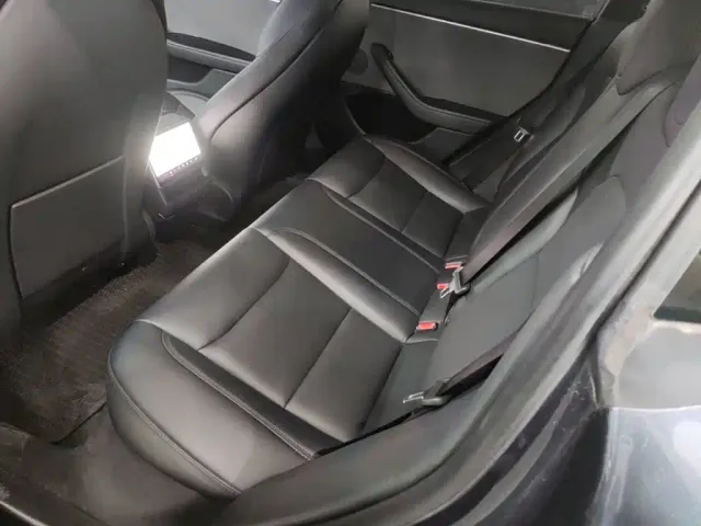 Tesla Model 3 — Фото автомобиля 16