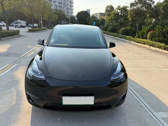 Tesla Model Y — Фото автомобиля 2