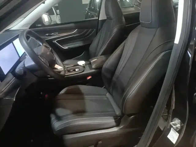 Venucia Venucia Big V 2022 260T Dark Horse Edition·Idol — Фото автомобиля 14