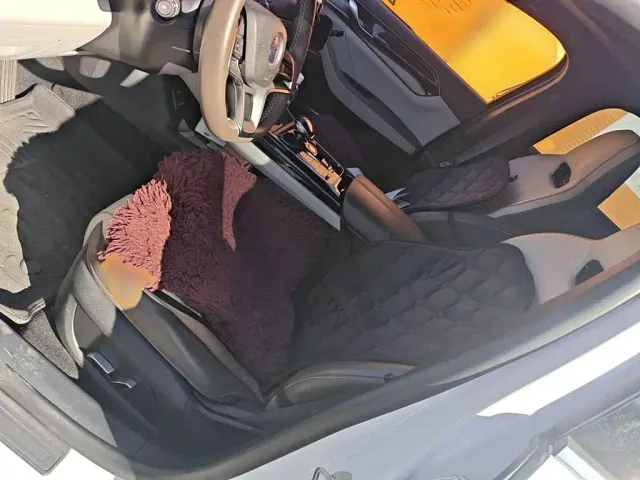 BYD Qin PLUS — Фото автомобиля 11