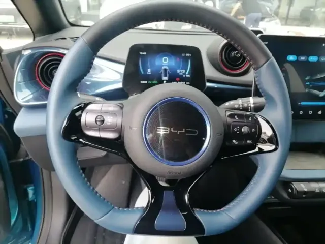 BYD Dolphin 2021 401km Knight Edition — Фото автомобиля 6
