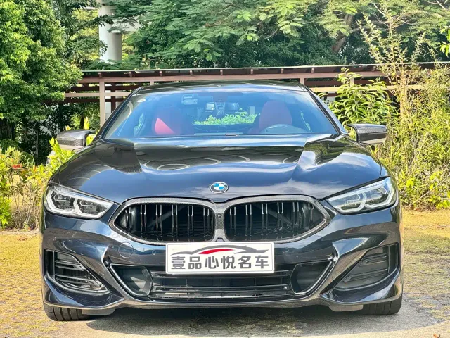 BMW 8 Series — Фото автомобиля 2
