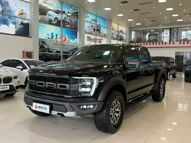 Ford F-150 Raptor — Фото автомобиля 3