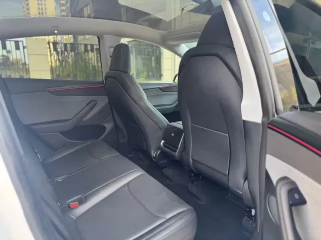 Tesla Model Y — Фото автомобиля 10