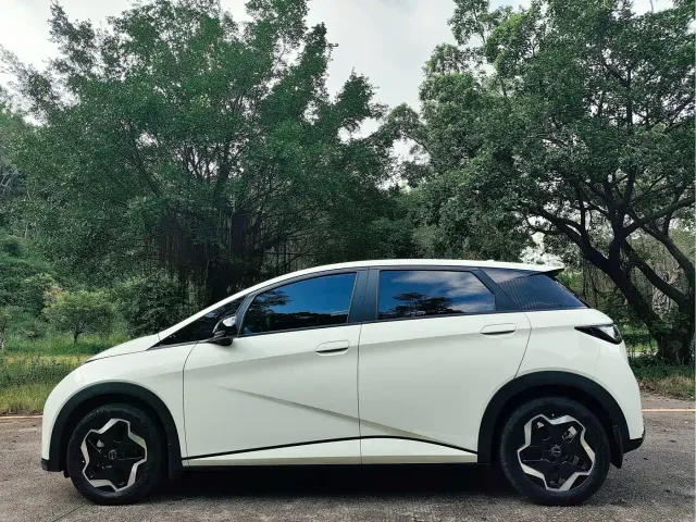 BYD Dolphin — Фото автомобиля 4