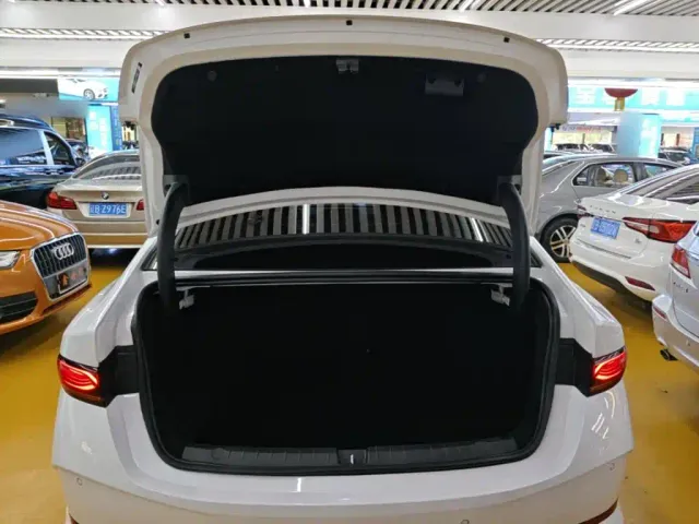 BYD Qin PLUS — Фото автомобиля 18
