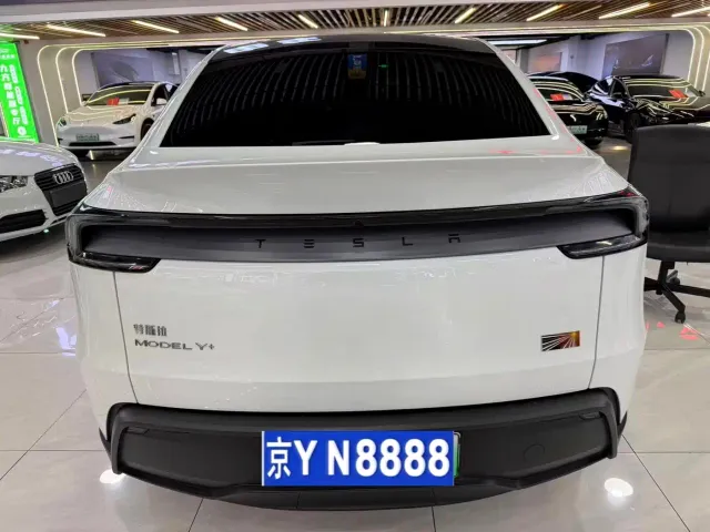 Tesla Model Y — Фото автомобиля 10